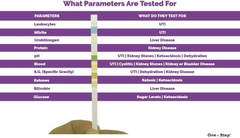 Urine Test Strip Urinalysis Test 100 Counts Creatinine Calcium Protein