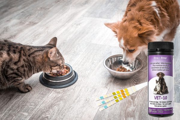pet-urine-strips-and-tub-pets-eating